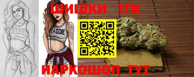 прущий лед Будённовск