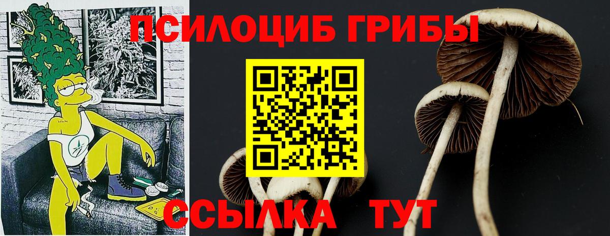 Галлюциногенные грибы ЛСД Тольятти
