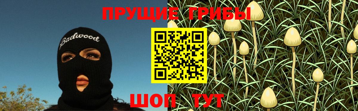 Тольятти  Псилоцибиновые грибы мицелий  Вход с VPN 